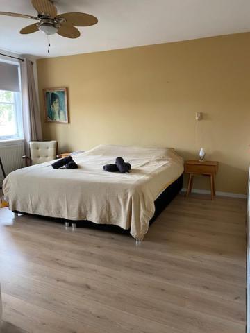 Sunnystay 43 Middelburg Buitenkant foto